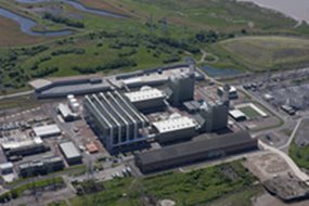 Calon Energy Limited image