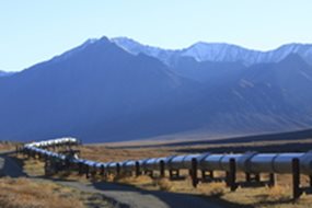 Blueknight Energy Partners LP image