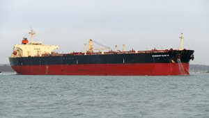 Ridgebury Crude Tankers LLC image