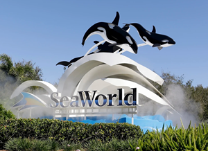 SeaWorld Parks & Entertainment Inc image
