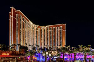 Treasure Island, LLC. image