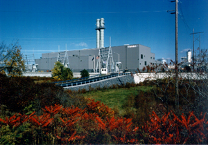 Selkirk Cogen Funding Corp. image