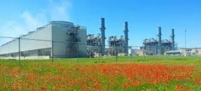 Bosque Power Co. image